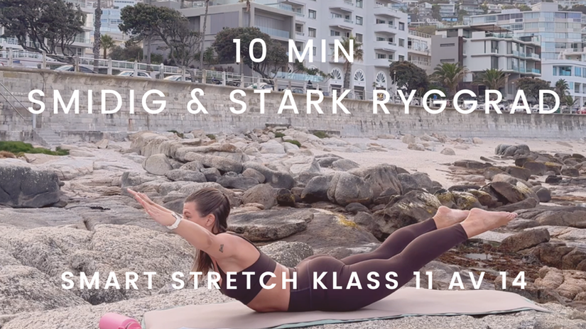 Smidig & stark ryggrad